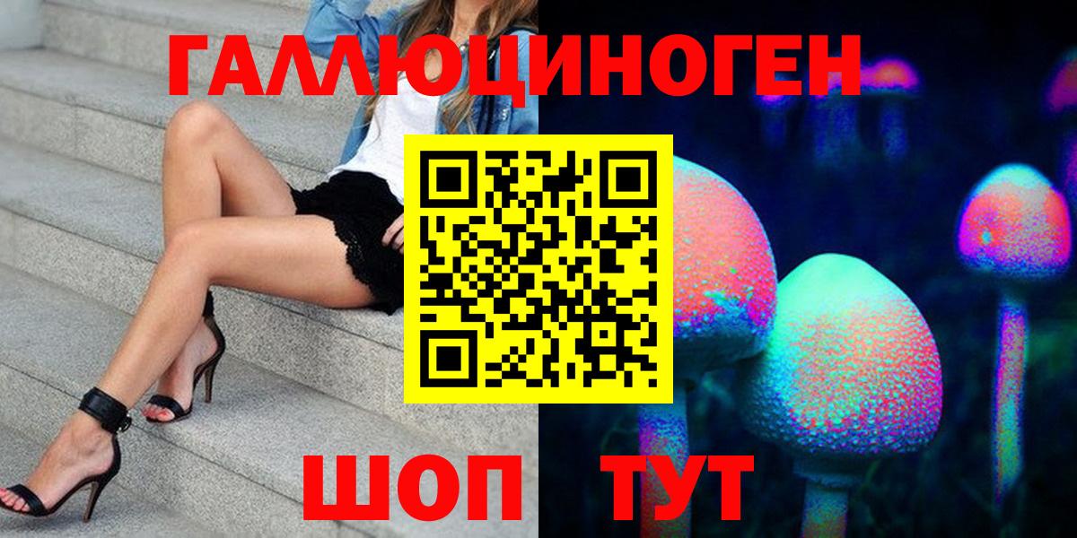Галлюциногенные грибы Psilocybine cubensis Сафоново