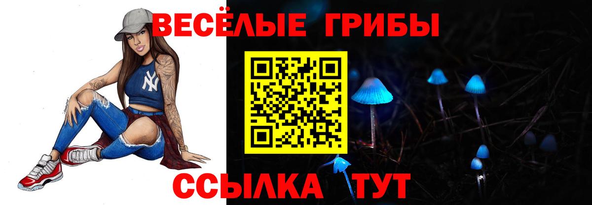 Сафоново  Псилоцибиновые грибы GOLDEN TEACHER  Вход с VPN 